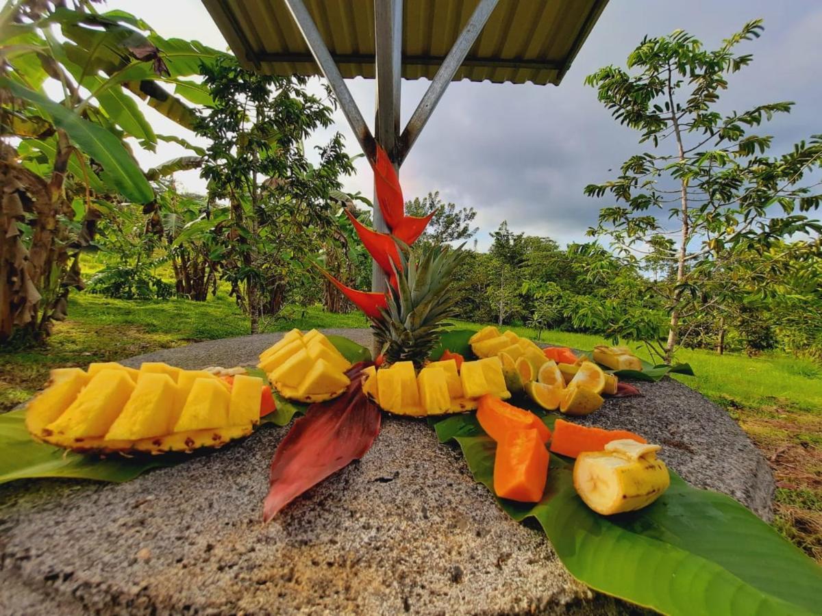 Cabanas Montanas Del Tenorio Rio Celeste Dış mekan fotoğraf