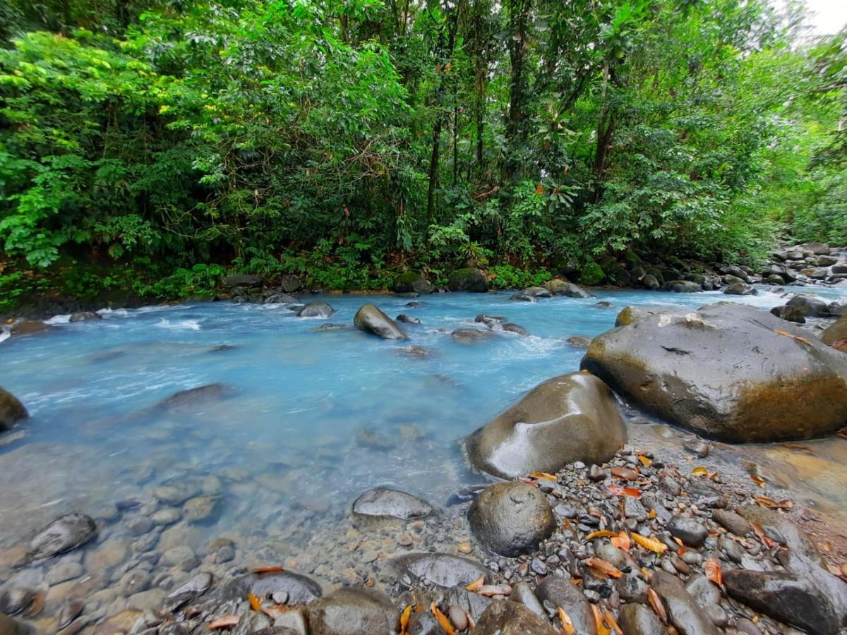 Cabanas Montanas Del Tenorio Rio Celeste Dış mekan fotoğraf